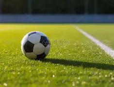 足球赛场挥,舞手牌,平博体育,平博体育平台,平博体育官方网站,平博体育登录入口,平博体育app下载