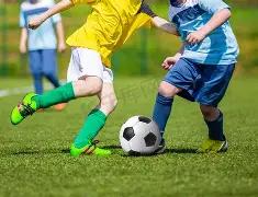 平博体育,资讯,平博体育平台,平博体育平台,平博体育官方网站,平博体育登录入口,平博体育app下载