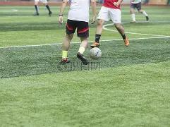 多宝体育,中国,官方网站,平博体育平台,平博体育官方网站,平博体育登录入口,平博体育app下载