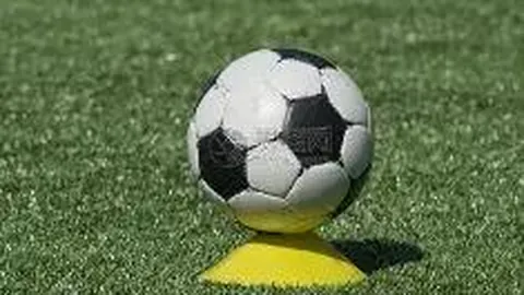 何炅生日博登顶娱乐圈人气榜，明星粉丝互动新趋势？