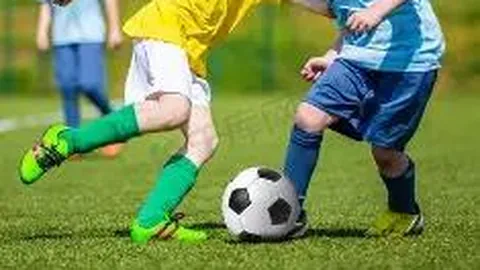 平博体育 资讯 094635 vh2