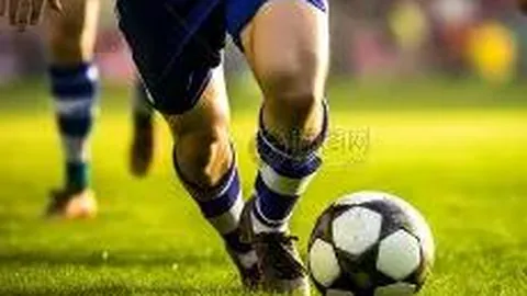 平博体育 资讯 095149 mg8