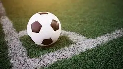 平博体育 产品 085308 t5l