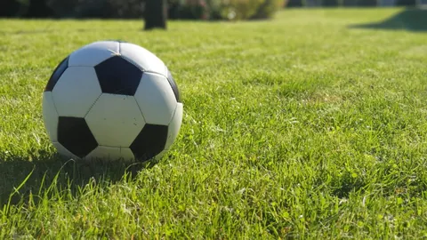 NBA官方宣布：东契奇禁赛，湖人面临重大挑战